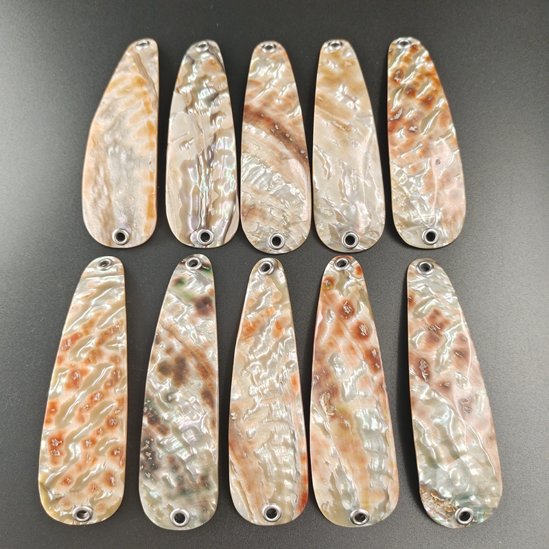 Coquille d'ormeau du Mexique