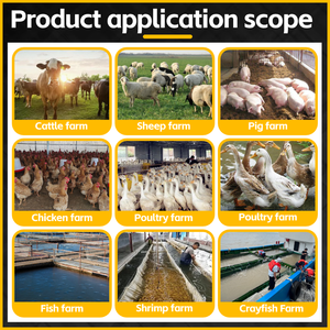 Mélangeur d'alimentation du bétail TMR <span class=keywords><strong>à</strong></span> haute efficacité mélangeurs d'alimentation du bétail de volaille animale <span class=keywords><strong>à</strong></span> <span class=keywords><strong>vendre</strong></span> - Product Image 5