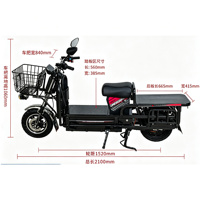 Promotion d'usine pour les services de livraison de nourriture et de colis : Moto électrique de transport promotionnelle, Vélo électrique, Scooter de livraison