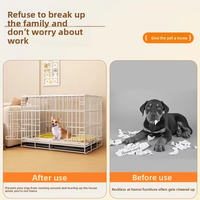 Cage pliable en fer pour chien avec cloison solide, boîte portable pour l'entraînement et l'apprentissage de la propreté des chiots