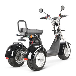 Tricycle électrique à gros pneus 2026, tricycle électrique à 3 roues, grande puissance 4000w, tricycle <span class=keywords><strong>moto</strong></span>, vélo cargo électrique - Product Image 1