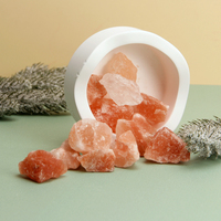 Diffuseur d'arômes en cristal de sel rose naturel avec bol en céramique blanche, décoration parfumée pour la maison, chambre, salon, cadeau
