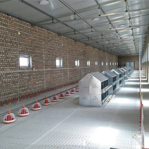 Nichoir 24 trous pour pondeuse de poules pondeuses pour pondeuse/ferme avicole Boîte manuelle de collecte d'œufs - Product Image 5