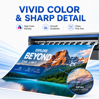 Tinta Eco Solvente 1L CMYK para Rotulación de Vehículos, Adhesivos para Autos, Gráficos para Flotas, Impresión en Vinilo, Impresora de Formato Ancho