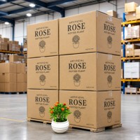 Mini Künstliche Topfpflanzen Kleine Dekorative Bonsai Tisch-Ornamente für Zuhause und Büro Grüne Tischdekoration Großhandel