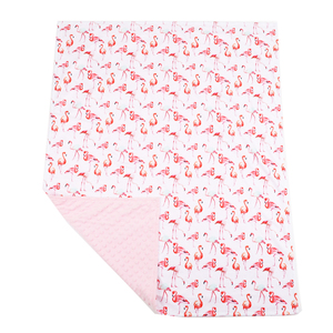 Coperte Morbide in Peluche con Retro a Pois per Neonati e Bambini Unisex, Coperta Minky per Bebè - Product Image 2