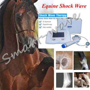पशु चिरोप्रैक्टिक के लिए शॉक वेव थेरेपी चिकित्सा उपकरण पशु चिरोप्रैक्टिक में प्रमाणित - Product Image 5