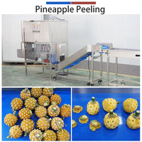 500-700kg/uur Aangepaste fruitproductielijn motor voor wassen, snijden, drogen, sorteren en verpakken van baby-ananas/fruit