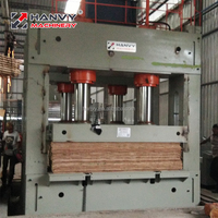 Máquina de Prensado en Frío de 600 Toneladas en Oferta, con Motor PLC y Bomba, Alimentador y Descargador Automáticos para la Producción de Madera Contrachapada