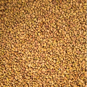 Graines de Fenugrec Premium : Matière Première Naturelle Trigonella Foenum Graecum – Ingrédient Botanique - Product Image 2