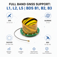 Antena GNSS Helicoidal Interna de Alta Precisión GPS L1 L2 L5 GLONASS BDS Galileo para Dron UAV, Navegación RTK, OEM Personalizado