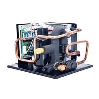 Mini 24v unité de condensation congélateur liquide bière refroidisseur Mini système de refroidissement FSCD019Z24