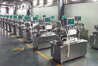Machine automatique de remplissage et de scellement de sucettes glacées Machines d'emballage de liquide de boisson en tube de sucette en plastique