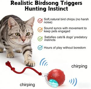 Hot Sale New Bird Sound Motion-Activated Rechargeable Silicone <b>ABS</b> Smart Self-Rolling Interactive Automatic Moving Cat Toy Ball - Product Image 2
