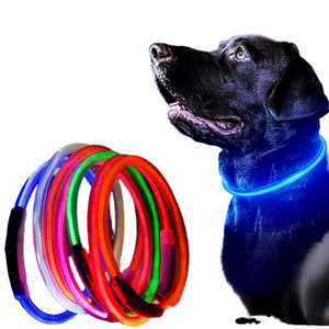Collier pour chien classique en silicone rechargeable par USB, motif solide, lumineux, LED, fermeture à boucle, plaque personnalisée, promenade nocturne pour animaux de compagnie - Product Image 3