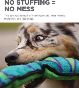 Yeni varış toptan yılan köpek oyuncak <span class=keywords><strong>Stuffingless</strong></span> Squeaky peluş köpek çiğnemek oyuncak - Product Image 3