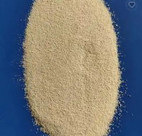 Chaleur/acide/bile 100BillionCFU résistant au sel forme de spores probiotiques Bacillus coagulans en vente