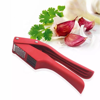 Haute qualité 2 en 1 manuel en acier inoxydable presse-ail portable gingembre hachoir produit maison et cuisine Gadgets