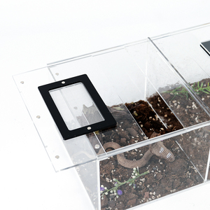 Terrario de Plástico Transparente con Doble Tapa para Exhibición de Hábitats de Reptiles - Product Image 4