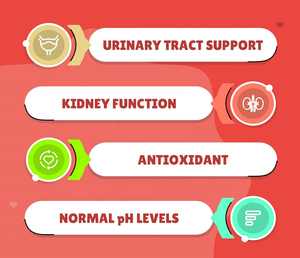 Precio de fábrica OEM ODM arándano para perros tabletas masticables salud del tracto urinario y soporte de vejiga para suplemento de arándano - Product Image 2