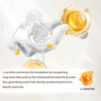 Comprimés de perte de poids à base d'acétyl-L-carnitine et d'extrait de thé vert, soutien énergétique, coupe-faim, usage adulte