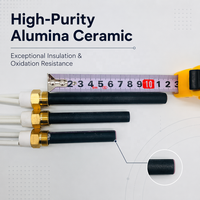 Barre chauffante résistante aux hautes températures à chauffage rapide avec allumeur céramique pour poêle à granulés de biomasse 220V 260W-360W
