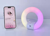 Haut-parleur portable multifonctionnel à son cristallin avec anneau lumineux et support de téléphone