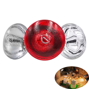 Waterproof Infrared Heat Lamp Red Pitted Breeding Bulb Pet Brooder Hatch Chicken Pig Animals Infrared Heating Lamp - Product Image 1