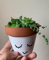 Vente chaude Mini Pots En Terre Cuite Minuscule Poterie Planteur pour Succulent Cactus pour DIY Artisanat Jardin Décor Cadeaux