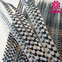 Plumes de Faisan Reeves en Gros de l'Usine, Plumes de Queue de Faisan pour Costumes de Carnaval, Spectacles de Danse et Scène