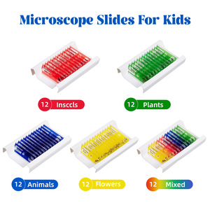Portaobjetos de bioplástico para observar microorganismos: 48 tipos de muestras microscópicas para estudiantes de primaria. - Product Image 2