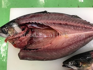 Cá thu tròn đông lạnh-600-800 gam/cái, được chấp nhận OEM, đánh bắt tươi từ nghề cá bền vững - Product Image 5