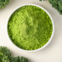 Poudre de chou frisé biologique en vrac, lyophilisée, riche en protéines et vitamines, pour supplément de cuisson au smoothie, marque privée disponible