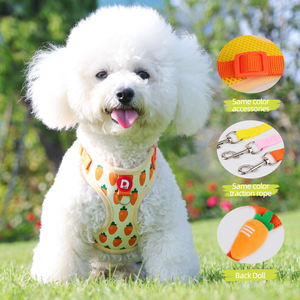 Boğmayan Yelek Tipi Süblimasyon Baskılı Profesyonel Hayvan Yürüyüş Malzemeleri Yavru Köpek Yelek Tasması - Product Image 6
