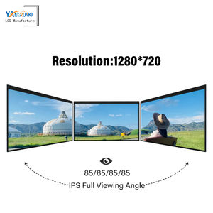 Классический стиль AV101HDM-N10 9,0 дюймов TFT ЖК-экран 800 нит яркость LCM монитор LVDS RGB интерфейсы модельный номер ЖК-дисплей - Product Image 4