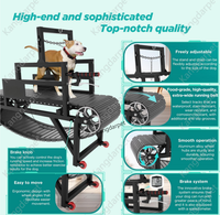 Nouvel équipement d'entraînement pour chiens, tapis roulant pour chiens, rééducation des animaux de compagnie, machine à courir pliable pour chiens, robuste, antidérapant