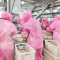 ZB 500Bph-13000Bph Abattoir de volaille d'abattoir de poulet personnalisé avec équipement de traitement Halal