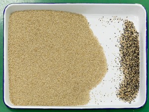 Quang Nhỏ Hạt Giống Cây Gai Dầu Màu Sorter Với Hiệu Suất Tốt Hạt Giống Cây Gai Dầu Máy Làm Sạch - Product Image 6