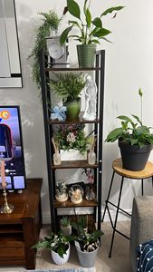 Scaffale a 6 livelli, libreria, scaffalature, per ufficio, <span class=keywords><strong>studio</strong></span>, <span class=keywords><strong>soggiorno</strong></span>, camera da letto - Product Image 6