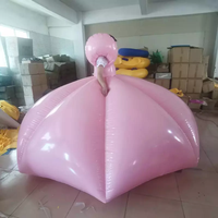 Costume gonflable en PVC rose pour adulte, nouveau design BeiLe, jouet en vinyle, accessoire de fête, accessoire publicitaire