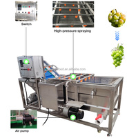 Ligne automatique de nettoyage et de séchage des raisins pour la production de raisins secs biologiques