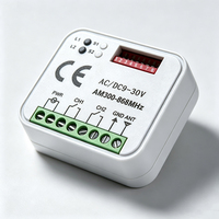 Récepteur universel de télécommande de porte de Garage RX MULTI 300MHz - 868MHz, ouvre-porte 2CH, contrôleur AC/DC 9-30V