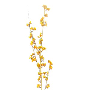 Flores Artificiales Jinxi Southern Celastrus Orbiculata, Rama Individual, Flor de Seda, Color Amarillo, Naranja, Rojo, Champán, Decoración para el Hogar - Product Image 5
