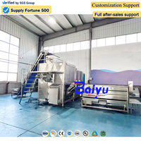 Baiyu industriële stoomschilmachine voor fruitverwerkingslijnen met automatische schilverwijderingstechnologie