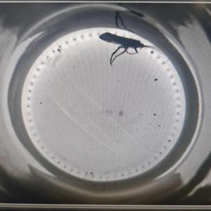 Полная проверка пустых бутылок EBI после мойки и перед наполнением: основание, резьба, боковая стенка - Product Image 2