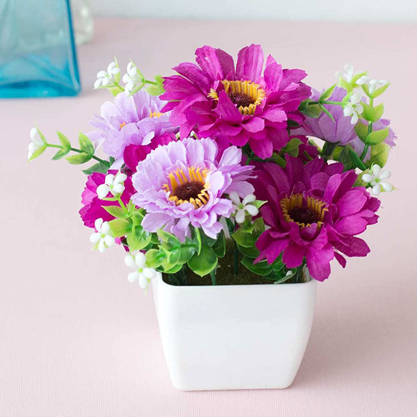 Chrysanthème lotus rouge (avec bassine)