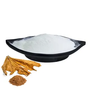 Best Price Solanesol Powder Factory Supply Tobacco Leaf Extract 99% Solanesol Powder