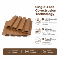 Panneau de clôture WPC de deuxième génération pour l'exportation, écologique, étanche, à clipser, co-extrusion pratique, pour villa et jardin