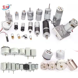 Individueller Elektrobürste-Mini-DC-Motor 6V/12V/24V Planetengetriebe Plus Permanenter Magnet-Vibrations-DC-Motor