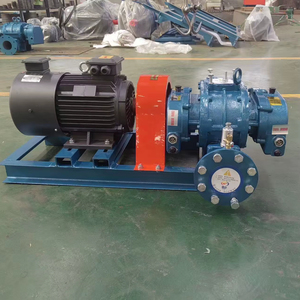 มอเตอร์โบลเวอร์รูทส์เหล็กหล่อแรงดันสูง AC 380V ขับเคลื่อนด้วยการเชื่อมต่อโดยตรง ผลิตในซานตง ประเทศจีน - Product Image 1